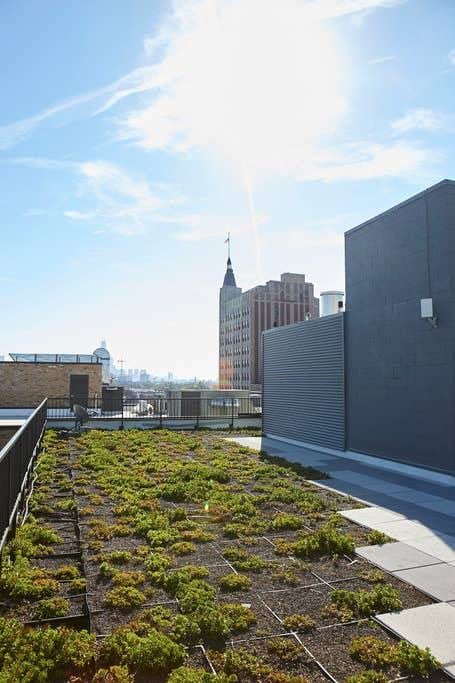 Photo of Buildings in Wicker Park