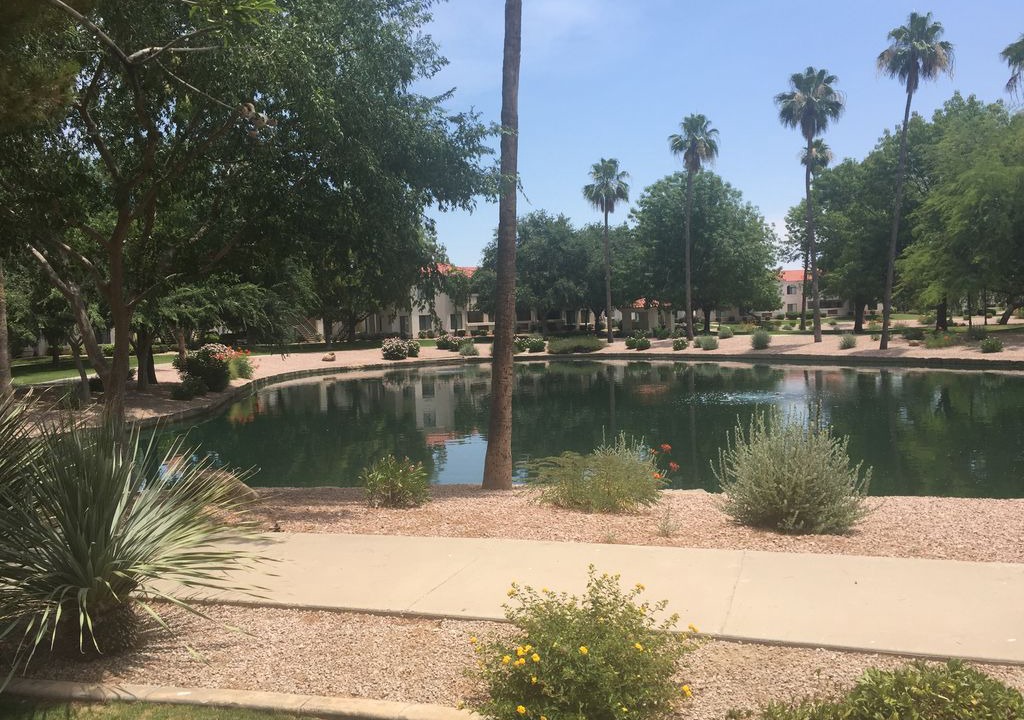 Photo of Outdoor in Superstition Lakes