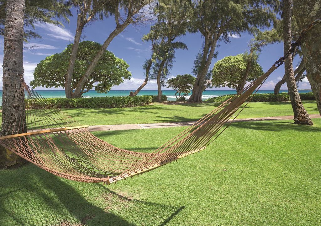 Photo of Others in Wailua