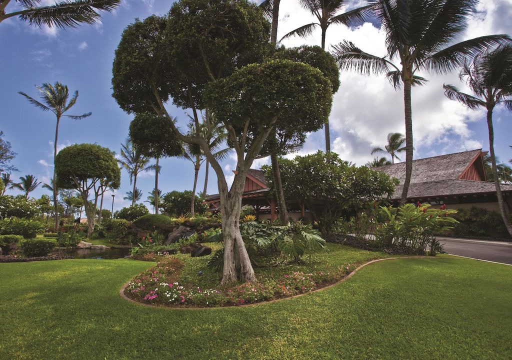 Photo of Others in Wailua