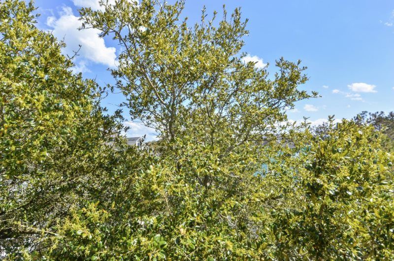 Photo of Outdoor in Monteray Shores