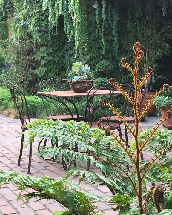 Photo of Others in Lodi