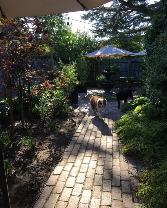 Photo of Others in Lodi