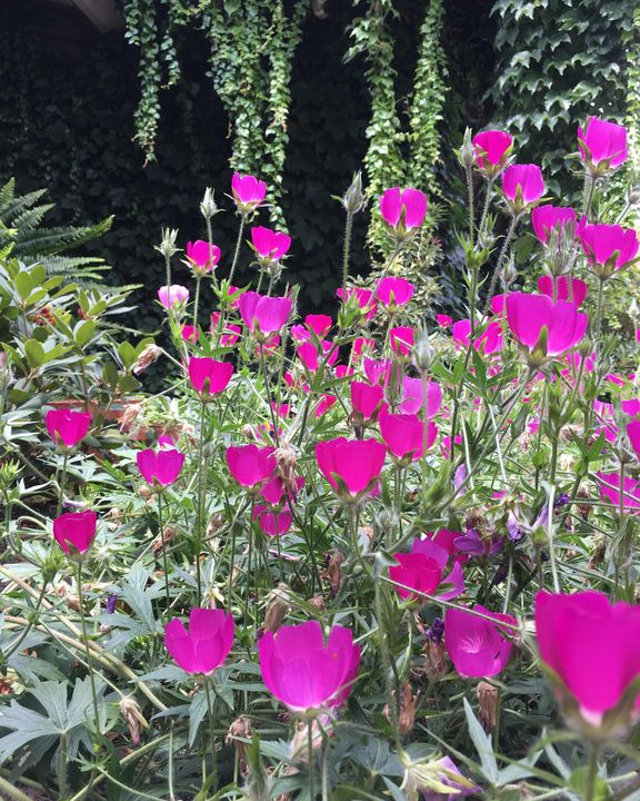 Photo of Others in Lodi