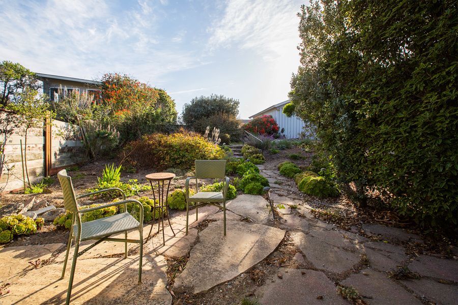 Photo of Others in Stinson Beach