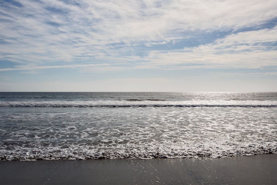 Photo of Others in Stinson Beach