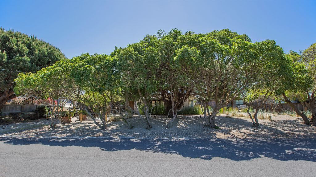 Photo of Outdoor in Stinson Beach