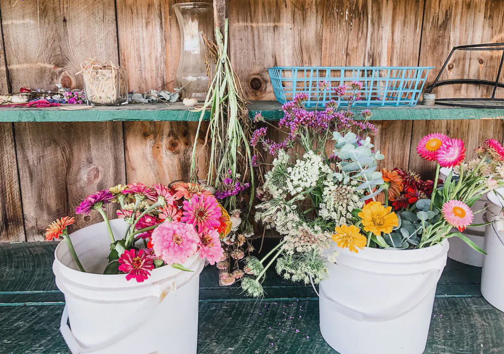 Photo of Others in Meredith