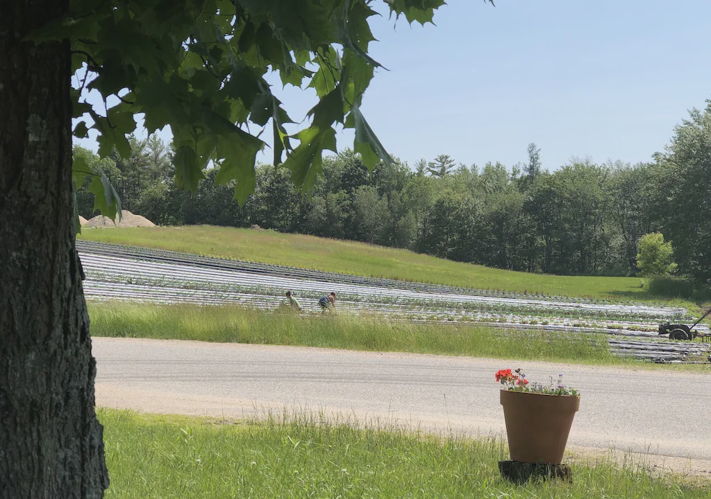 Photo of Others in Meredith