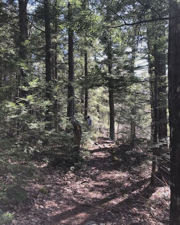 Photo of Others in Meredith