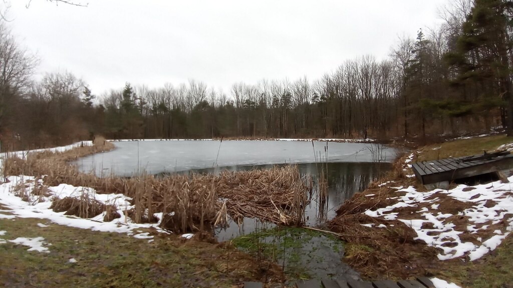 Photo of Others in Conewango Valley