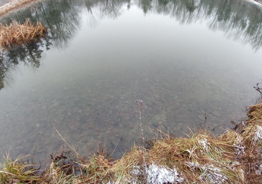 Photo of Outdoor in Conewango Valley