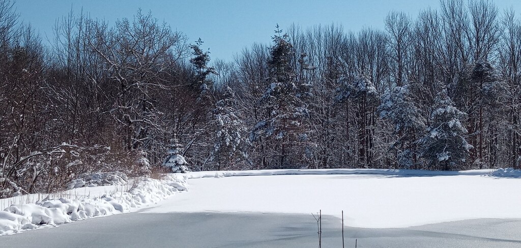 Photo of Others in Conewango Valley