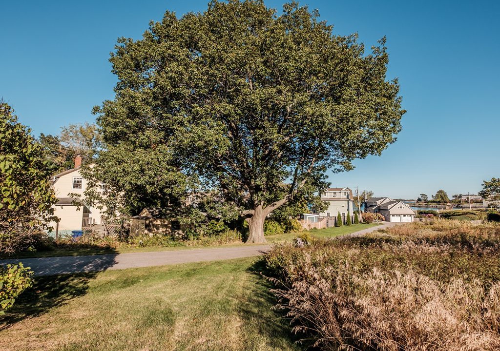 Photo of Others in Willard