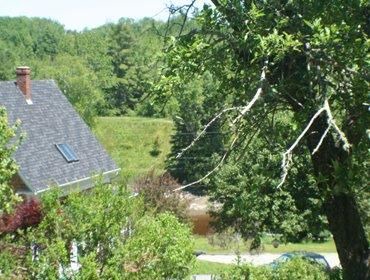 Photo of Others in Blue Hill