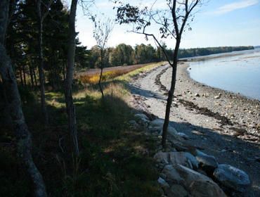 Photo of Outdoor in Deer Isle