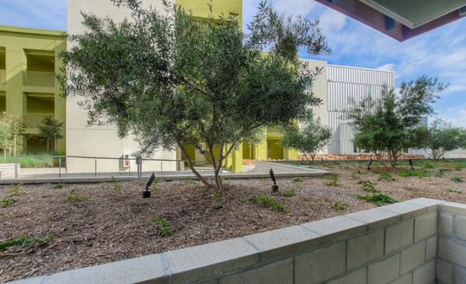 Photo of Others in Playa Vista