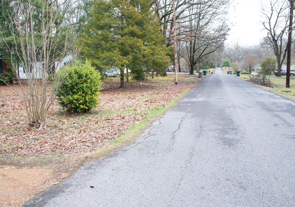 Photo of Others in Whitehaven