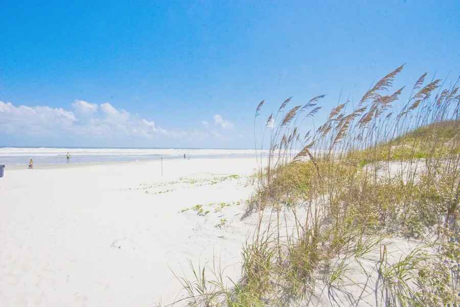 Photo of Others in Crescent Beach
