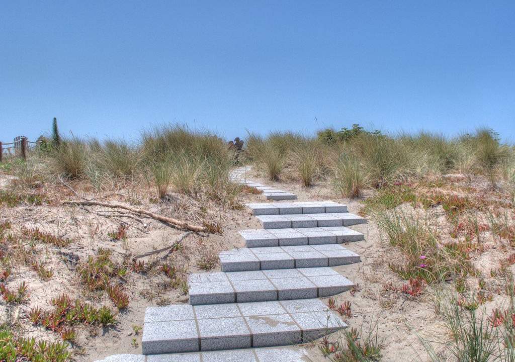 Photo of Others in Stinson Beach