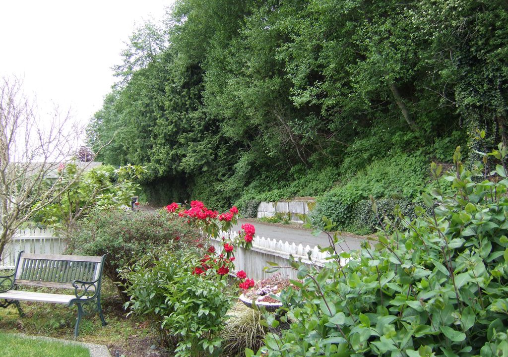 Photo of Others in Bells Beach