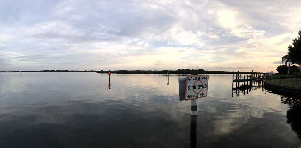 Photo of Others in Harbour Heights
