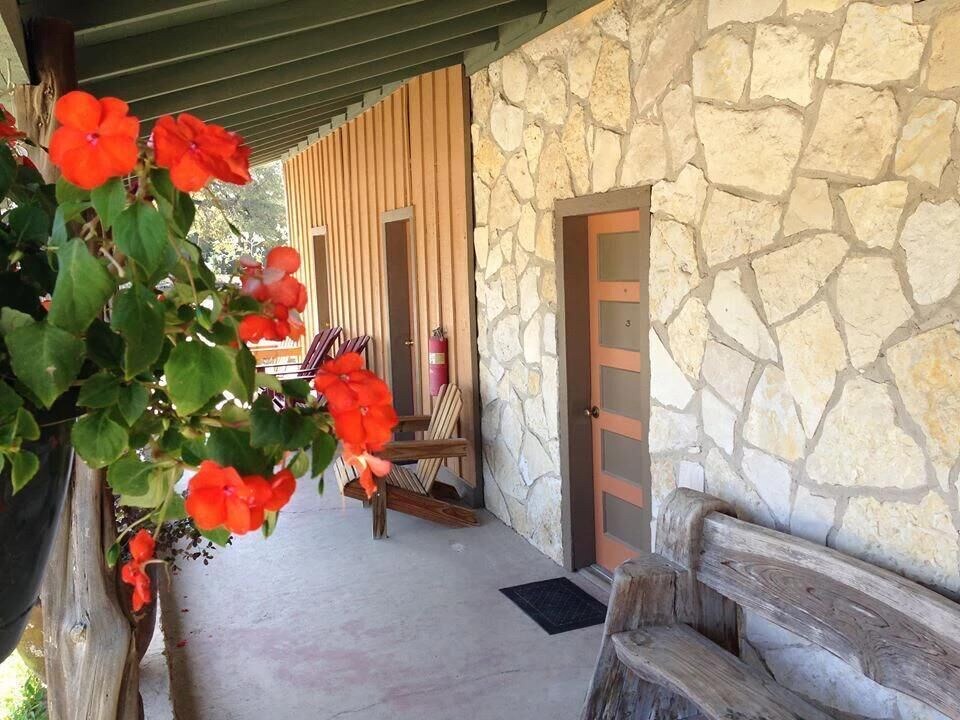 Photo of Others in Leakey