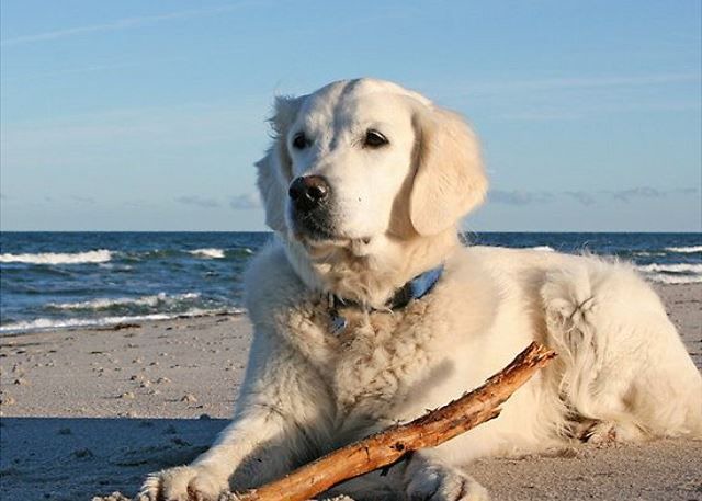 Photo of Others in Wading River