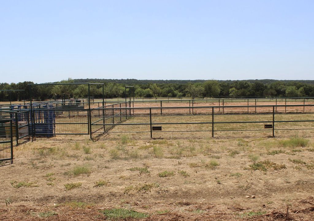 Photo of Others in Palo Pinto