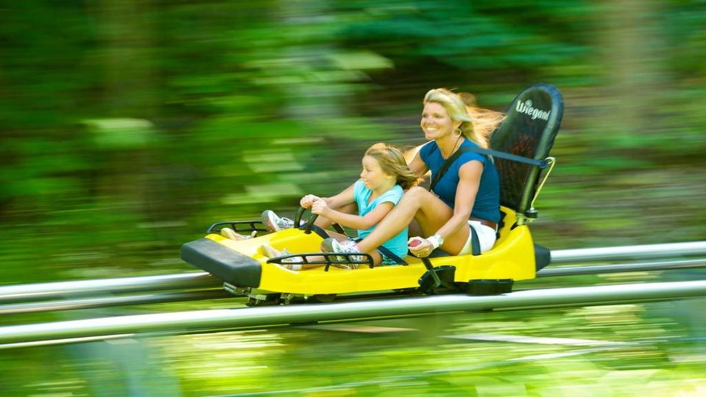 Photo of Human In Picture in Williamstown