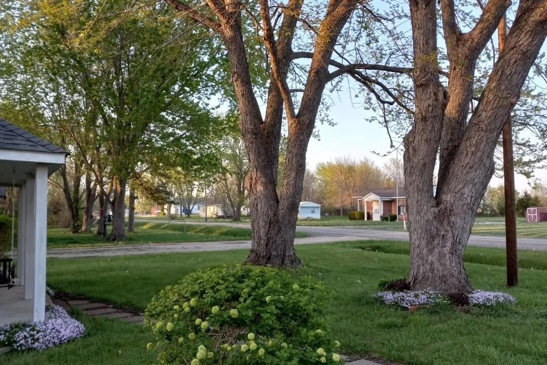 Photo of Outdoor in Edgar Springs