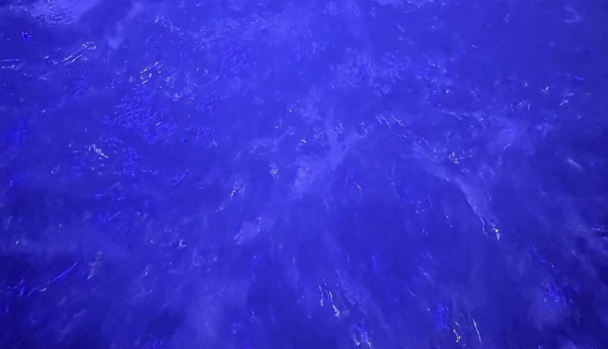 Photo of Others in Chouzy-sur-Cisse