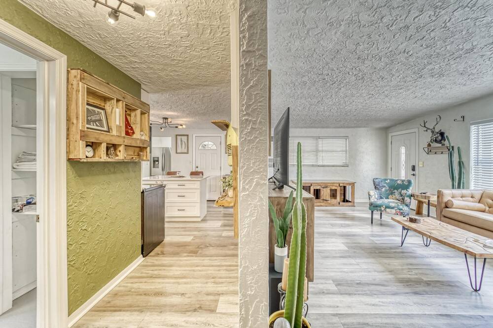 Photo of Livingroom in South Seminole Heights