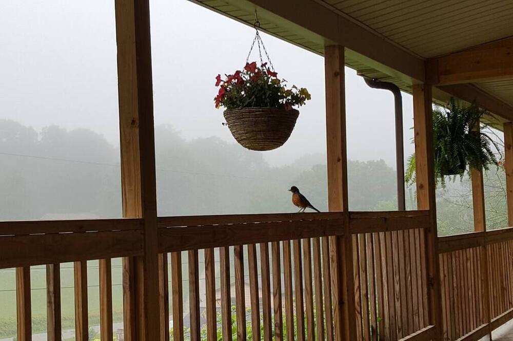 Photo of Outdoor in Pembroke