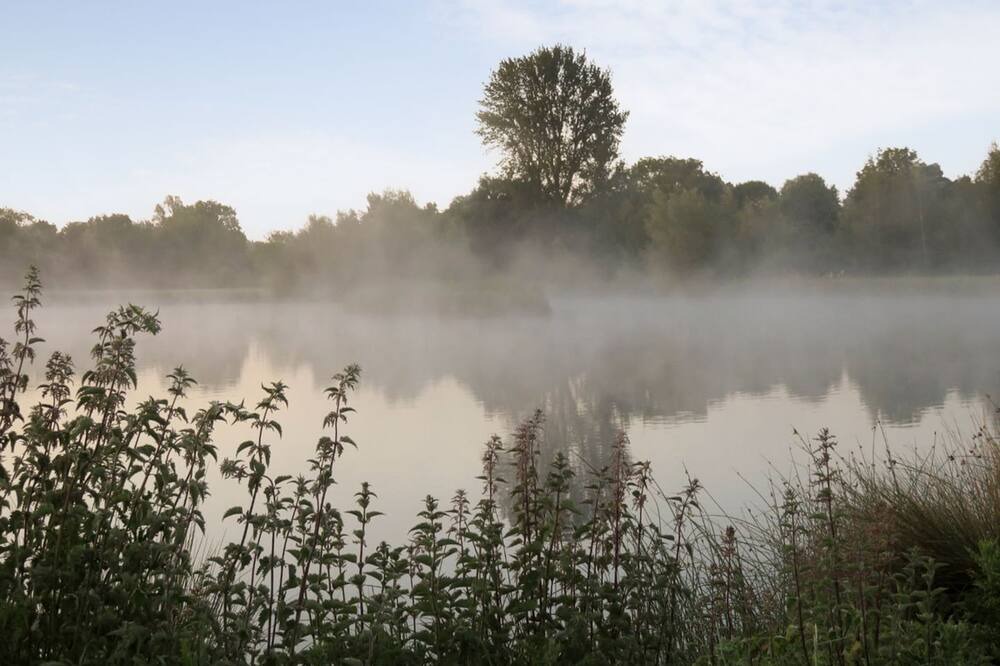 Photo of Others in Wyton