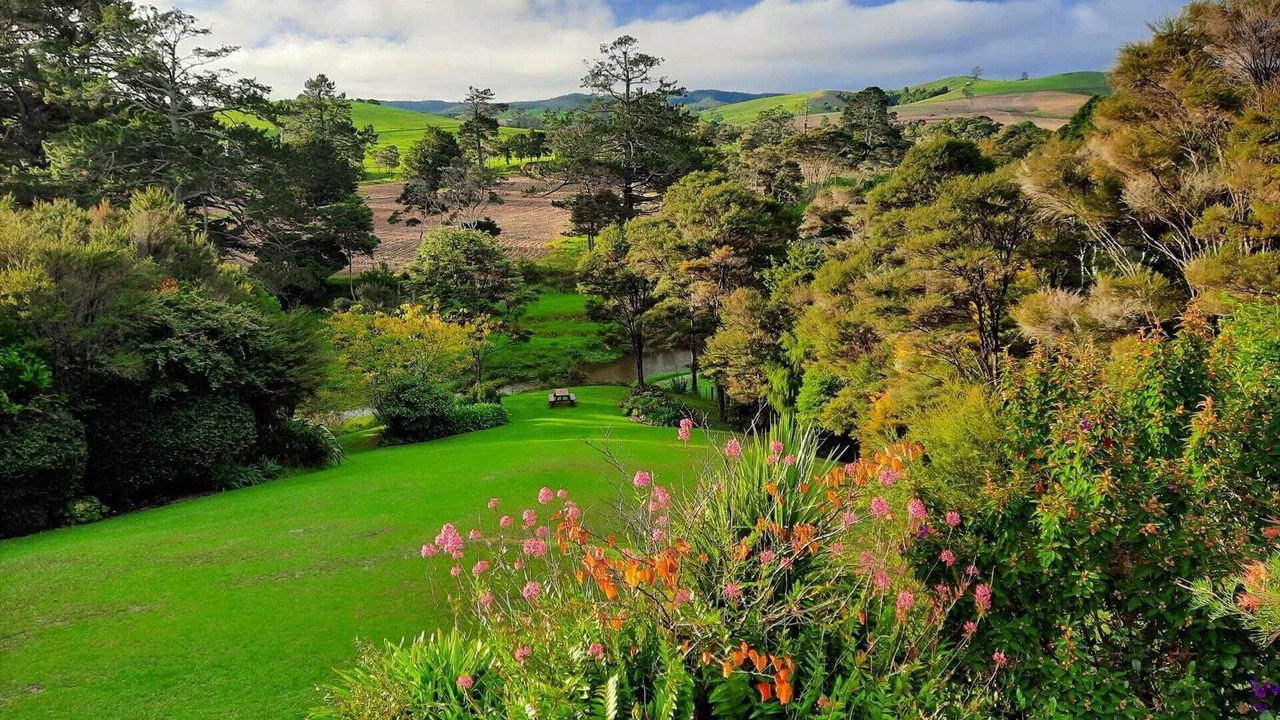 Photo of Others in Paihia
