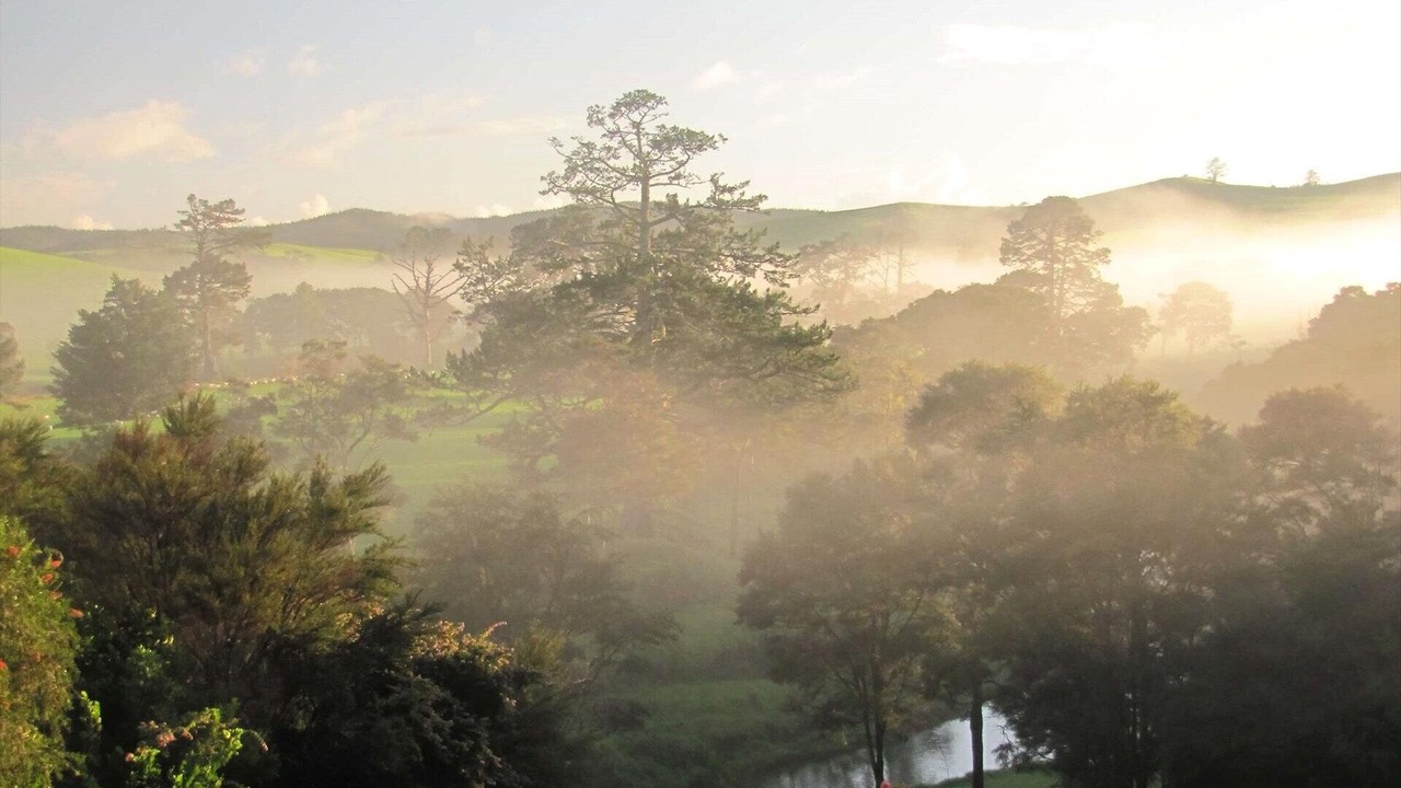 Photo of Outdoor in Paihia