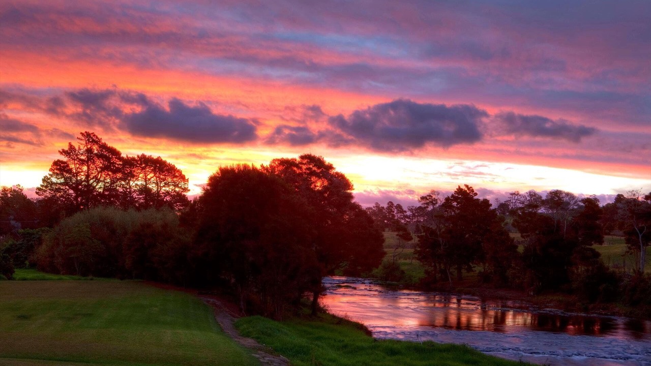 Photo of Outdoor in Paihia
