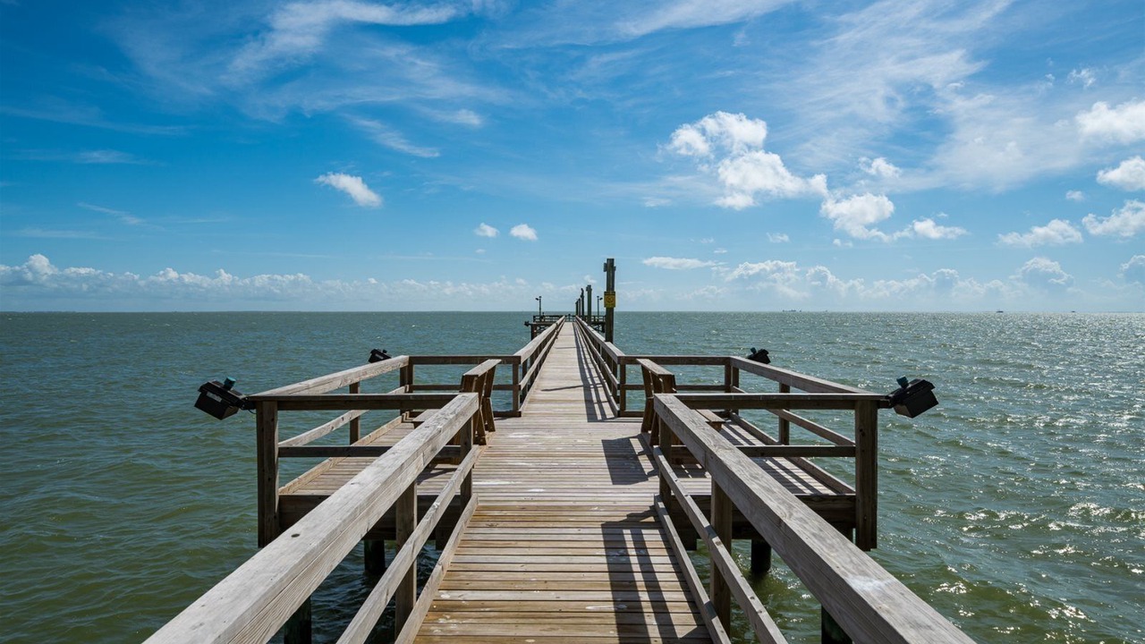 Photo of Others in Harbor Oaks