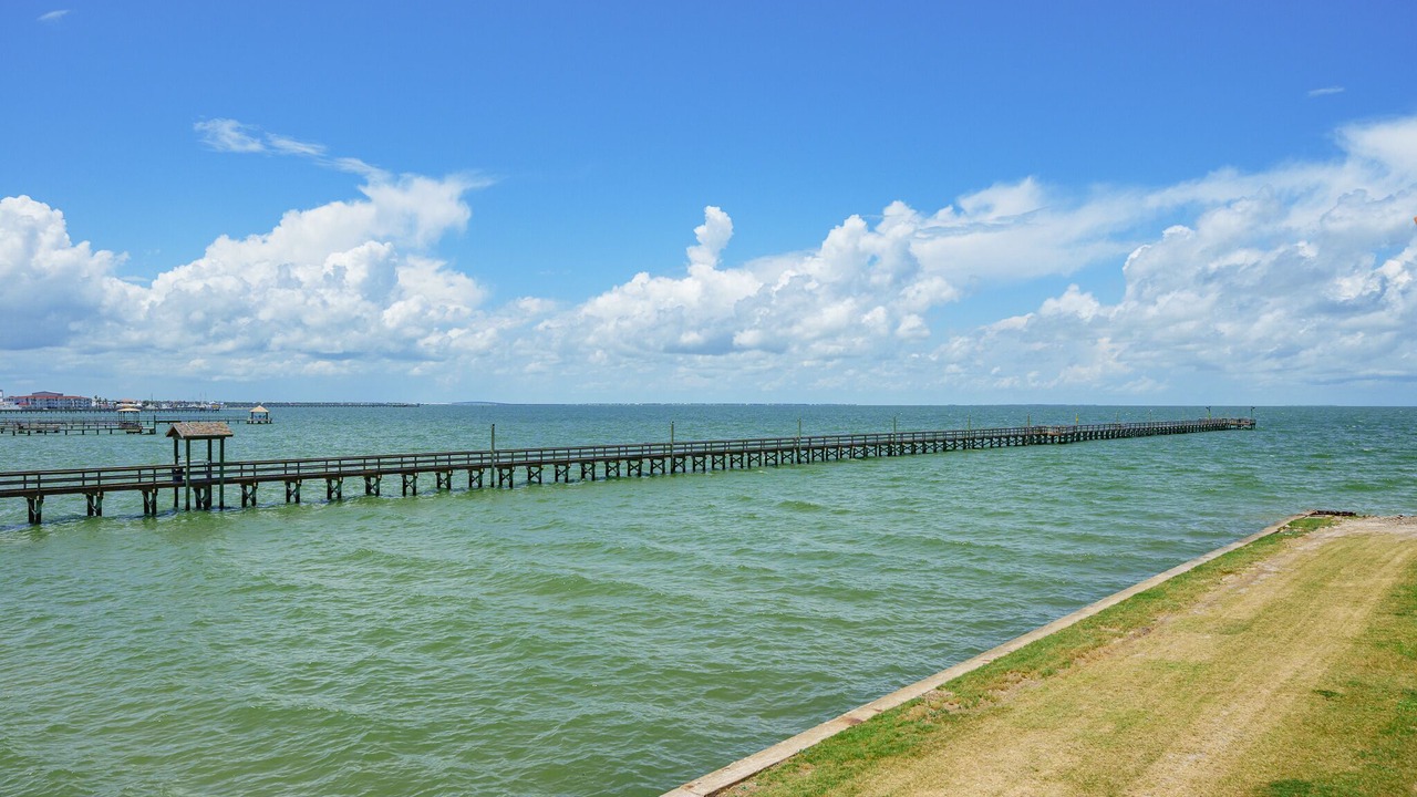 Photo of Others in Harbor Oaks