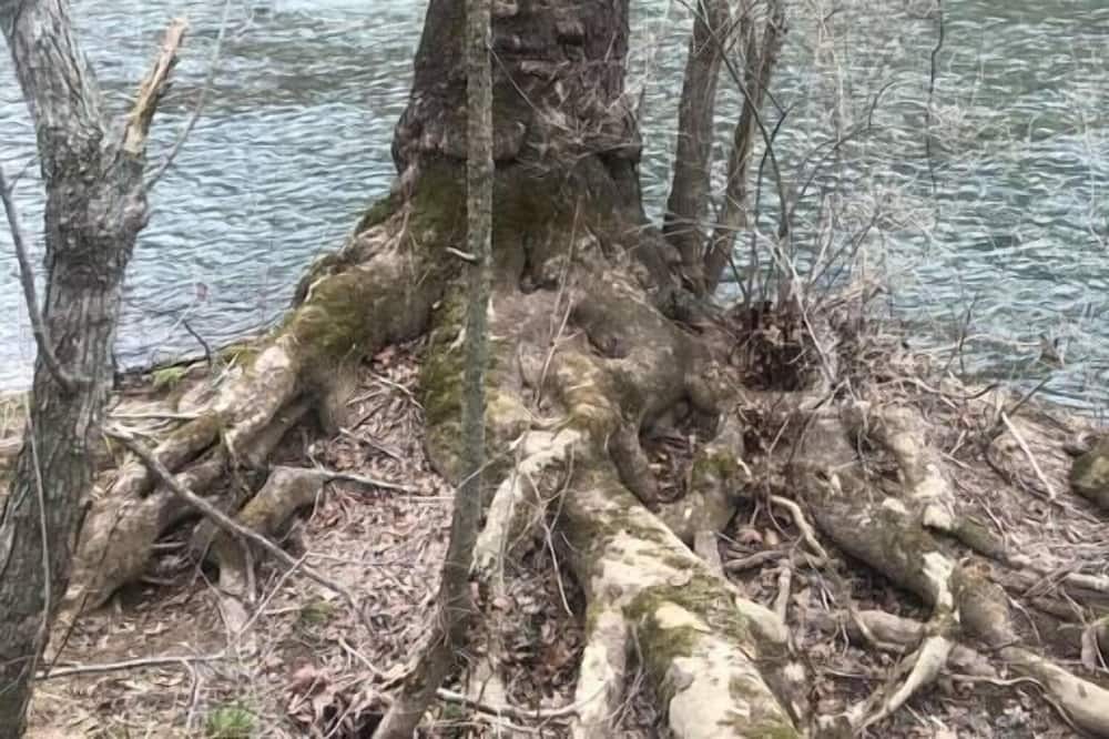 Photo of Others in Spottswood