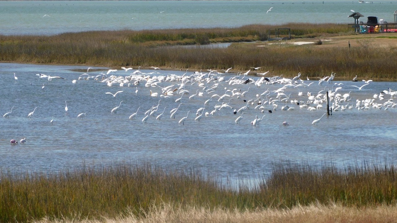 Photo of Others in Rockport