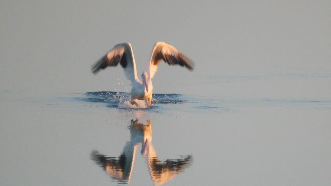 Photo of Others in Rockport
