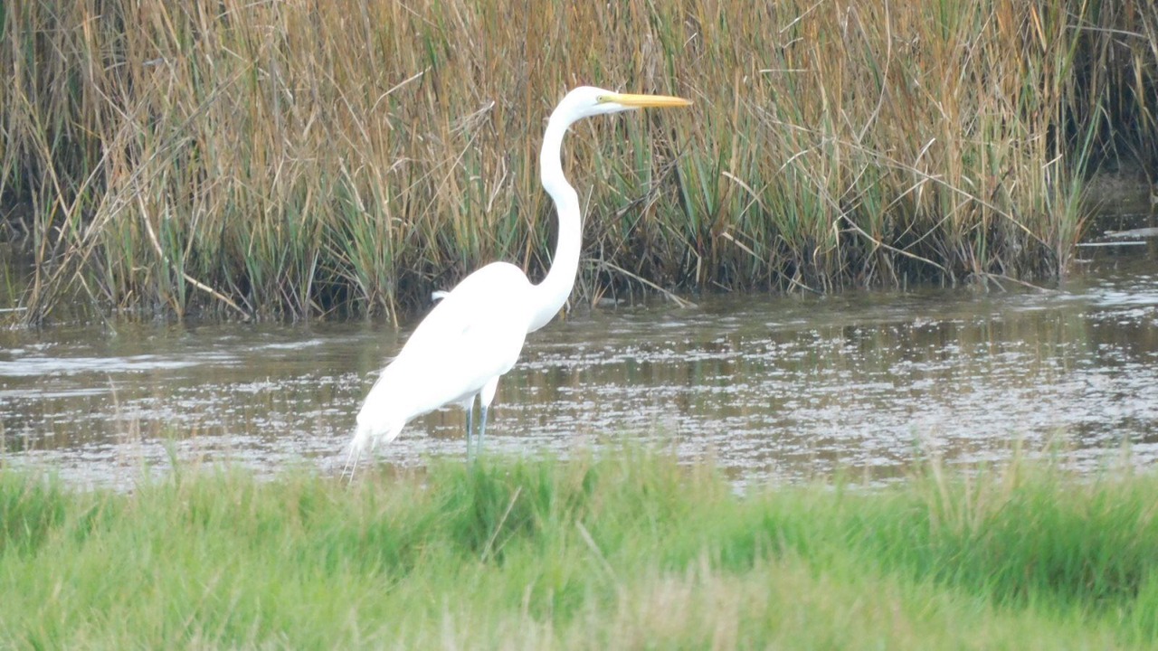 Photo of Others in Rockport