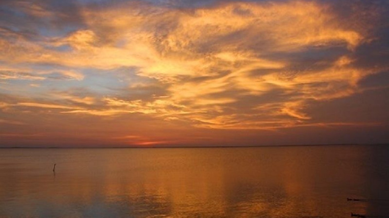 Photo of Others in Rockport