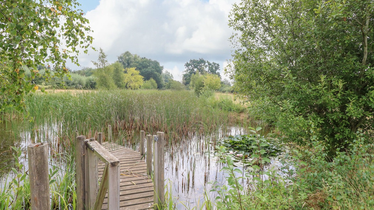 Photo of Outdoor in Hickling
