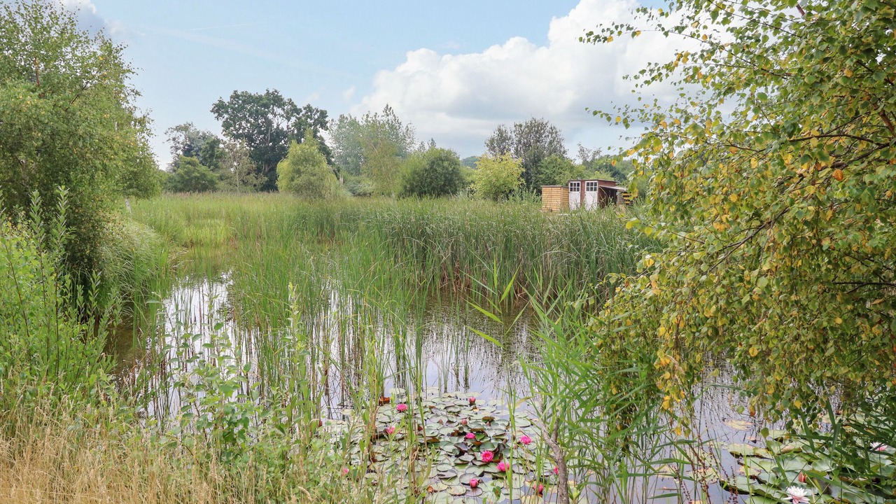 Photo of Outdoor in Hickling