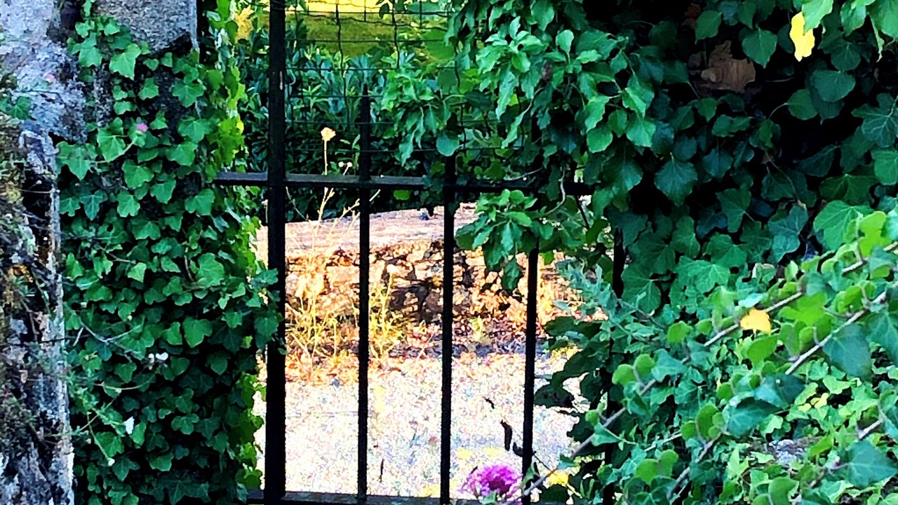 Photo of Outdoor in Torfou