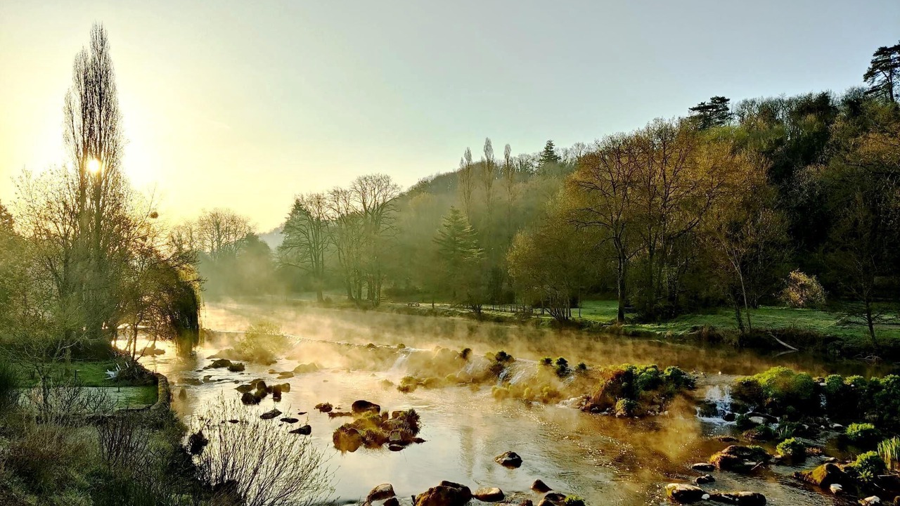 Photo of Others in Torfou