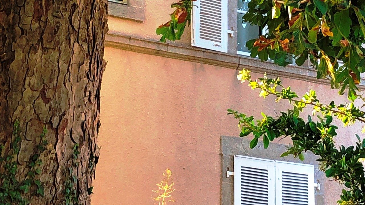 Photo of Outdoor in Torfou